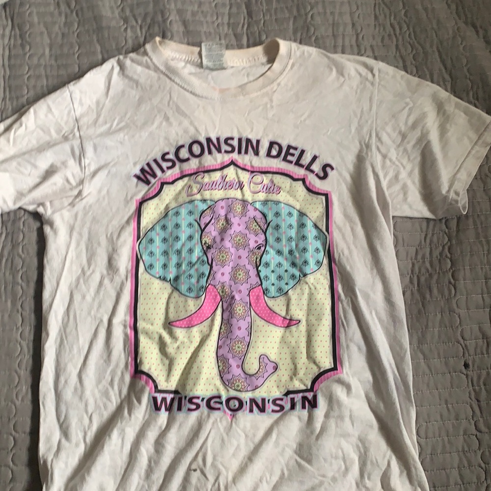 Fruit of the loom graphic t shirt Small WisconsinD